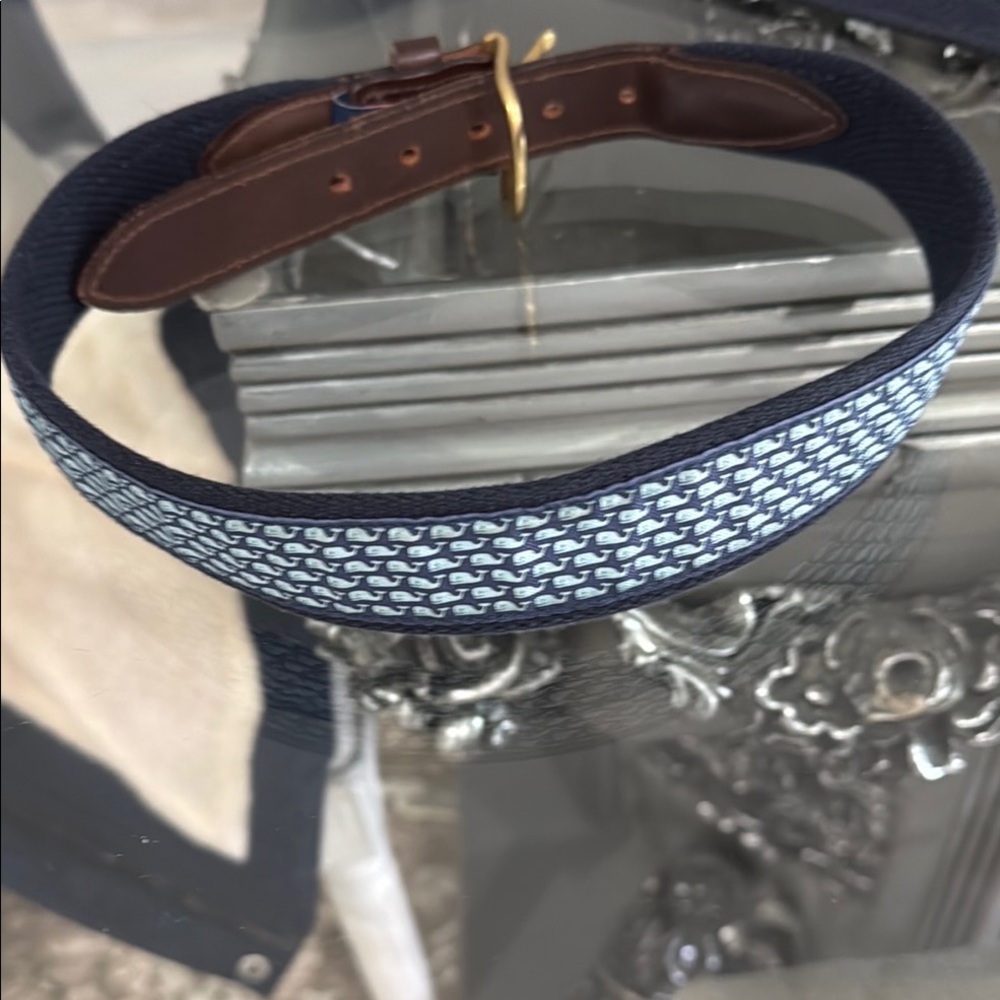 Kids Vineyard Vine Blue and Brown Belt